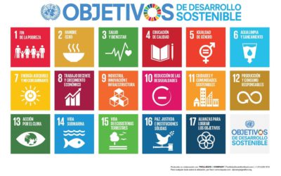 Día Internacional del Medioambiente y los ODS.