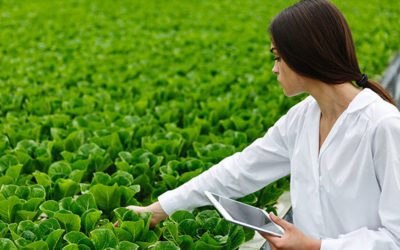 Premios de Excelencia a la Innovación para Mujeres Rurales